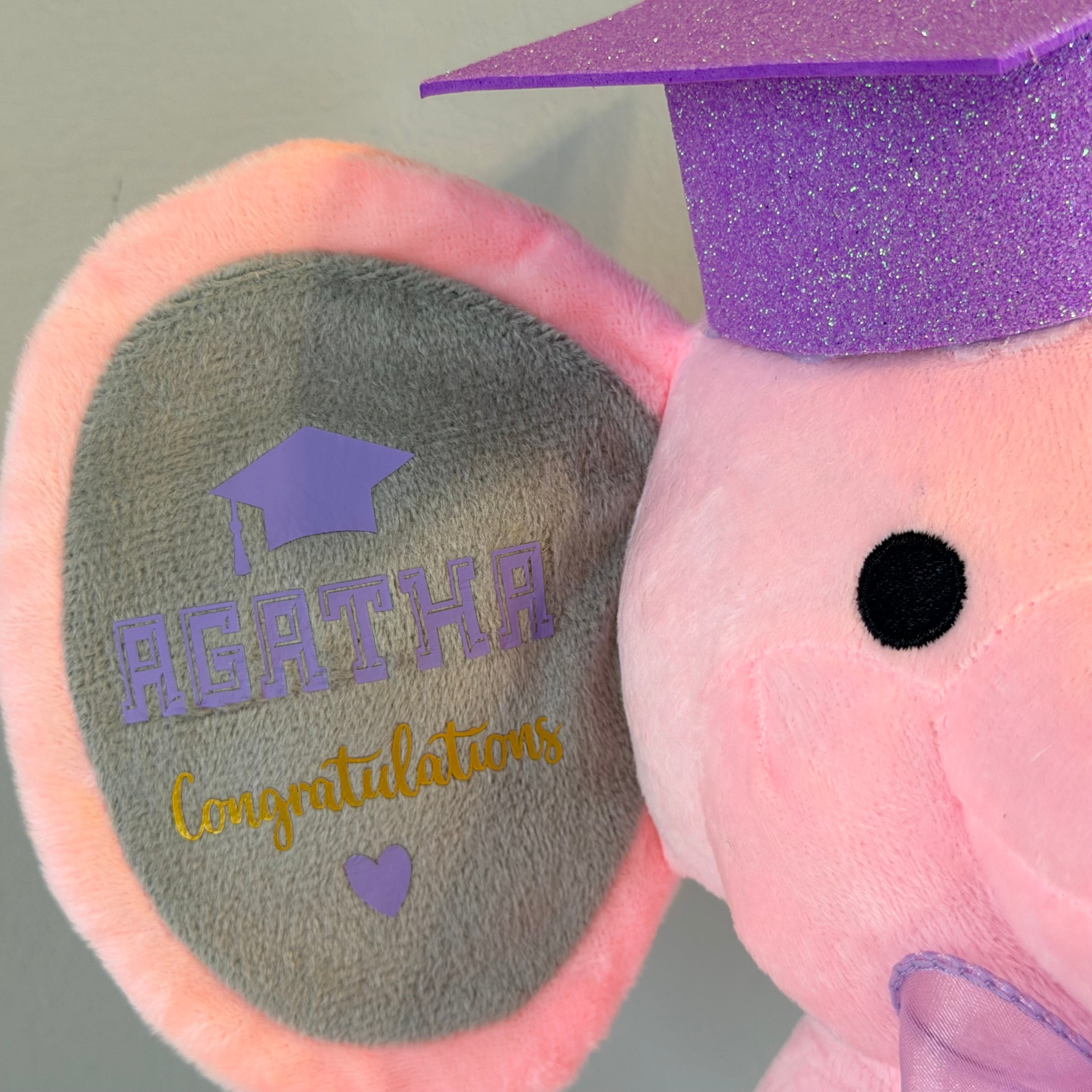 Plush toy with a graduation cap and personalized message on a gray background